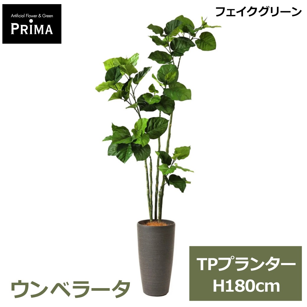 �ե��������꡼�� ���տ�ʪ �͹����տ�ʪ ¤�� �緿 ���꡼�� ����٥顼�� TP�ץ�󥿡� H175cm ����ƥꥢ ������� �͵� ���ե� �� PRGR-1372 GREENPARK ����̵�� 