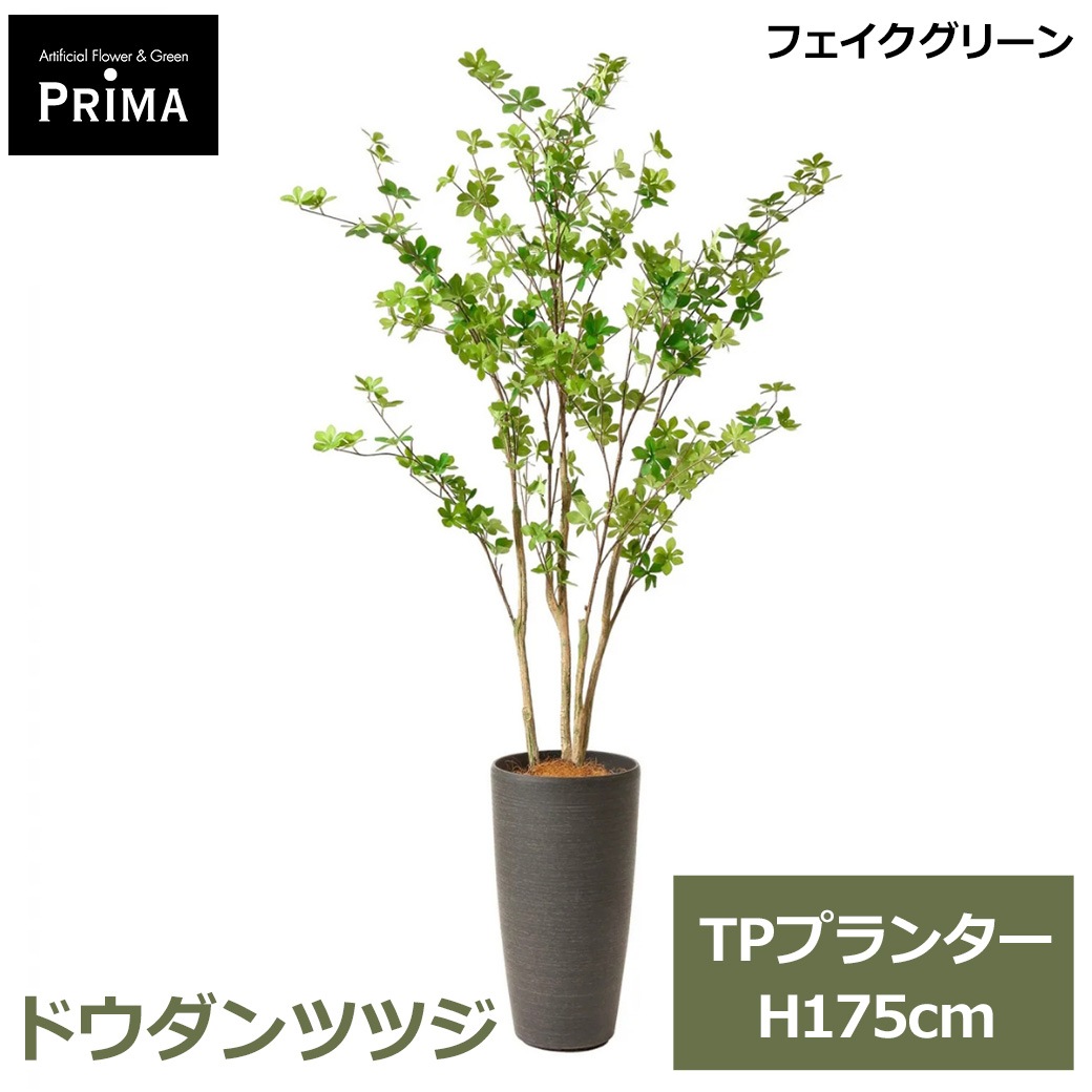 �ɥ�����ĥĥ� �ե��������꡼�� ¤�� �緿 �͹����տ�ʪ ������� �ޤ�� ����ƥꥢ ���տ�ʪ �̲� ��ӥ� ���ե��� �������� �͵� PRGR-1373 GREENPARK ����̵�� 