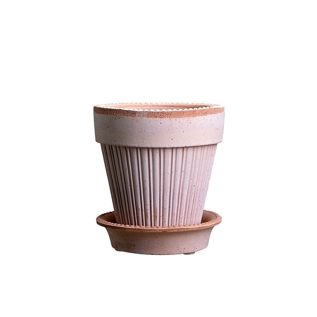 ȭ ƥ饳å 5 6 ľ16cm ⤵17cm ꥢ  襤 ǾƤ ȭ   å ݷ 졼 ʥ  ݥå16 