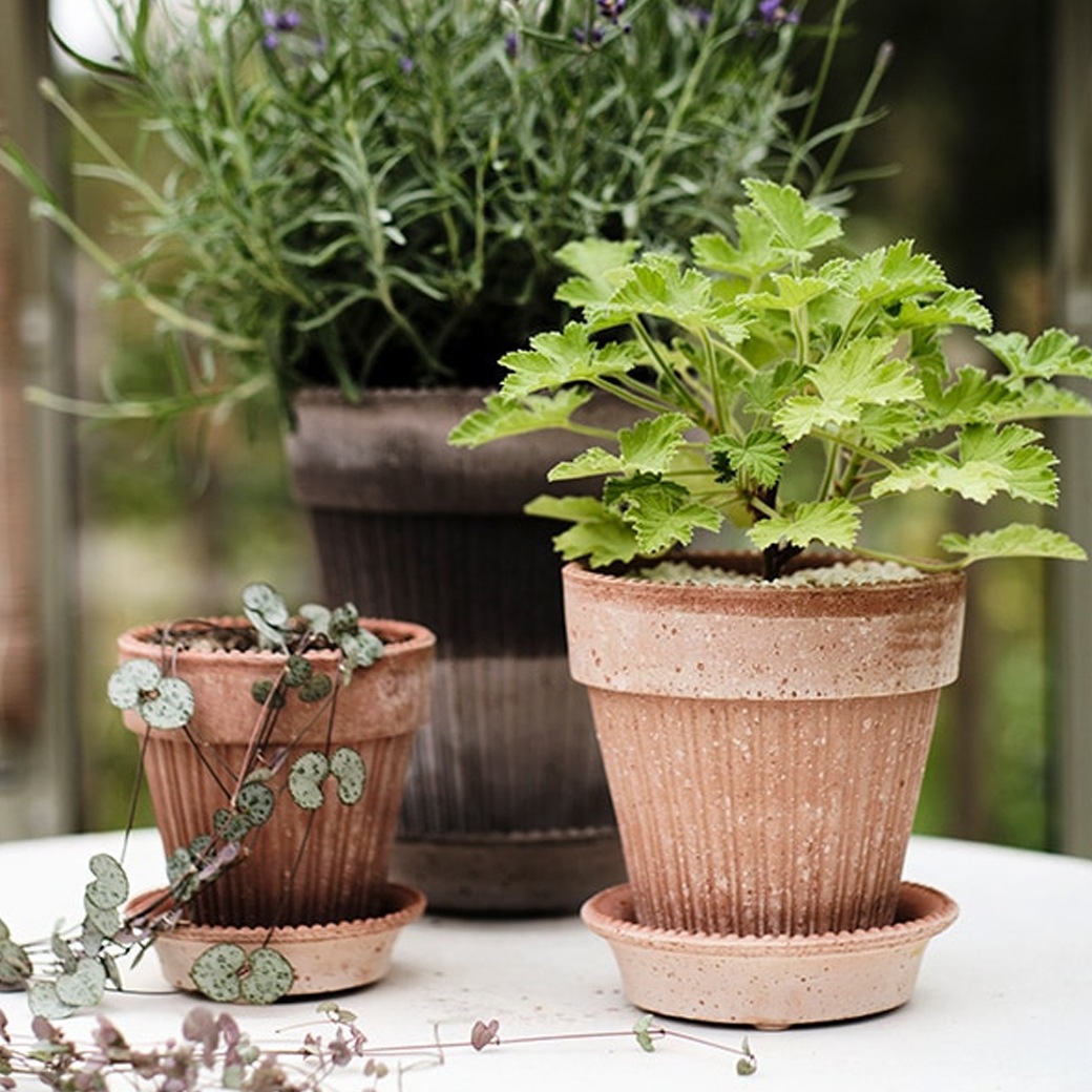 ȭ ƥ饳å 5 6 ľ16cm ⤵17cm ꥢ  襤 ǾƤ ȭ   å ݷ 졼 ʥ  ݥå16 