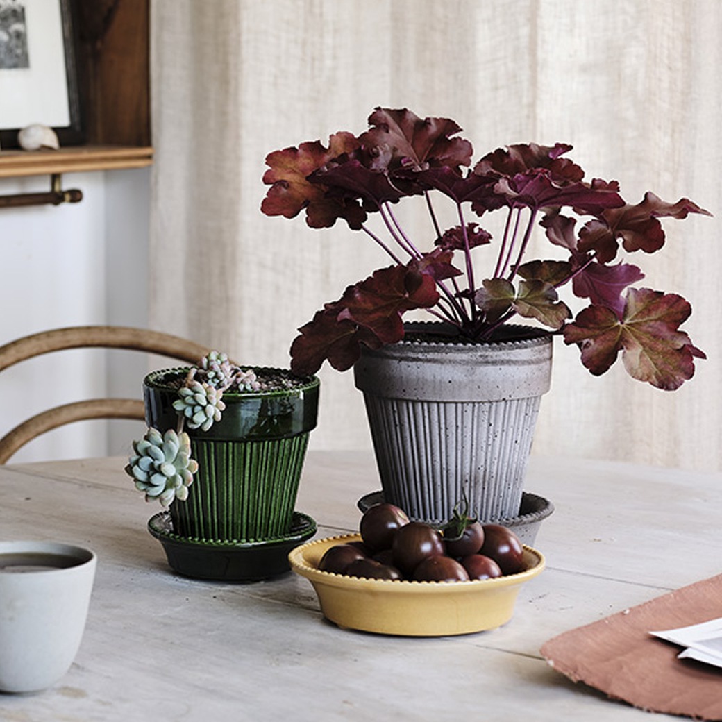 ȭ ƥ饳å 5 6 ľ16cm ⤵17cm ꥢ  襤 ǾƤ ȭ   å ݷ 졼 ʥ  ݥå16 