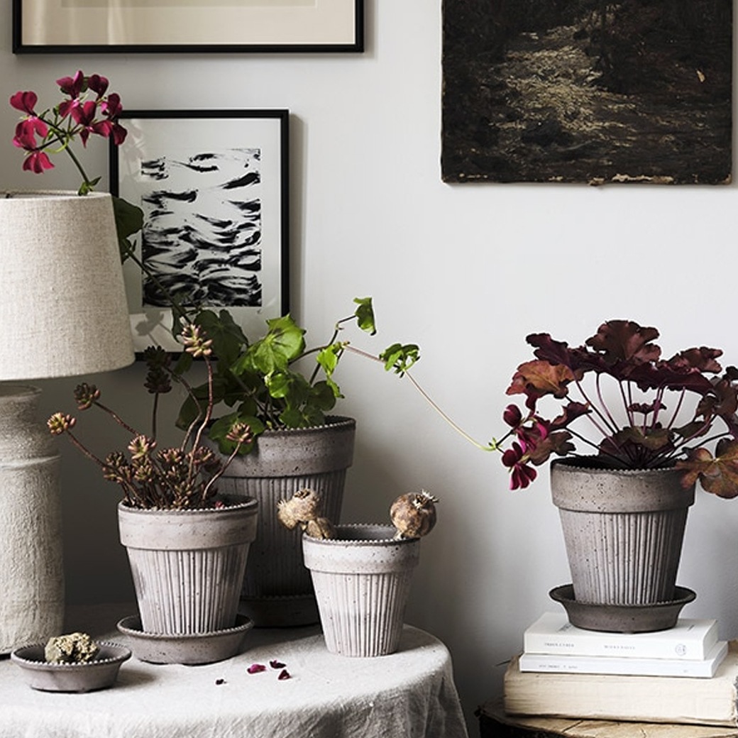 ȭ ƥ饳å 5 6 ľ16cm ⤵17cm ꥢ  襤 ǾƤ ȭ   å ݷ 졼 ʥ  ݥå16 