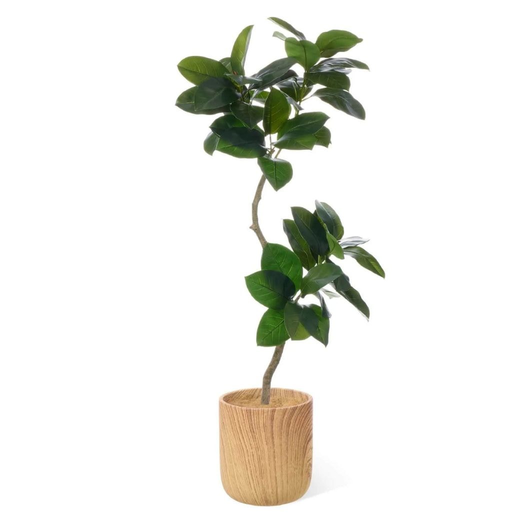 �ե��������꡼�� �͹����տ�ʪ �緿 ���å� ����꡼�� ������� H150cm ����ƥꥢ���꡼�� ȭ�դ� ��ʪ ȭ���å� ������� ���տ�ʪ �͵� PRGR-1824 GREENPARK ����̵�� 