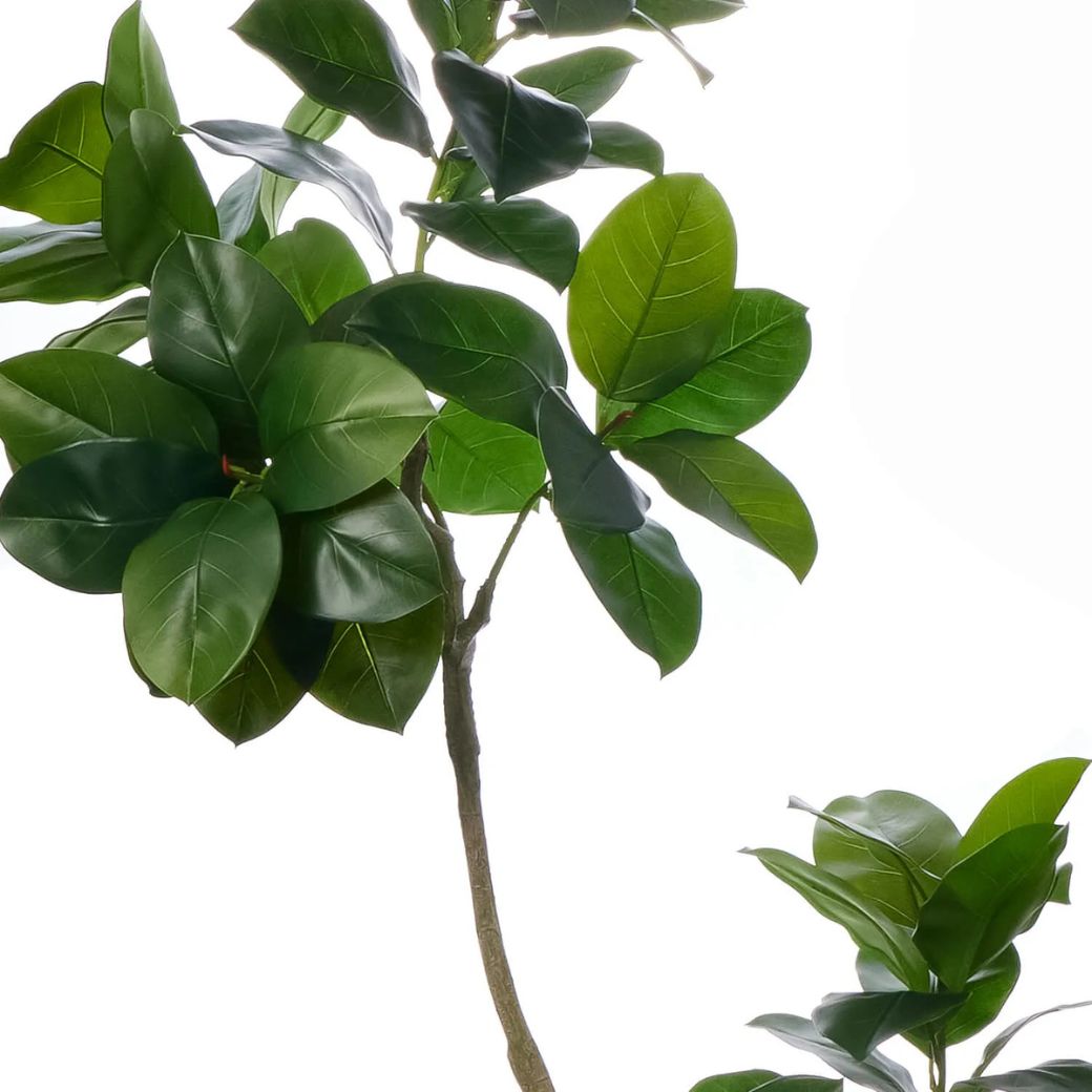 �ե��������꡼�� �͹����տ�ʪ �緿 ���å� ����꡼�� ������� H150cm ����ƥꥢ���꡼�� ȭ�դ� ��ʪ ȭ���å� ������� ���տ�ʪ �͵� PRGR-1824 GREENPARK ����̵�� 