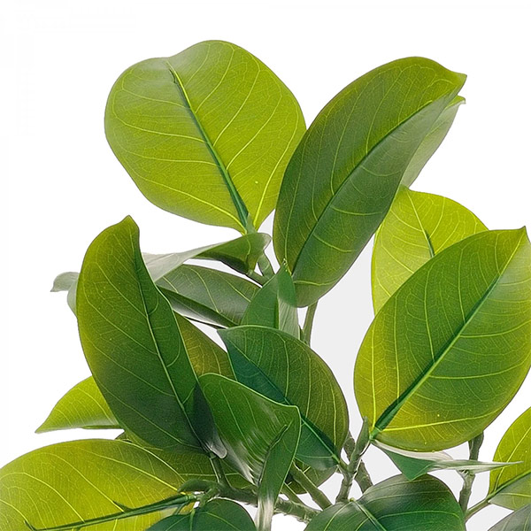 ե꡼ տʪ ͸տʪ ¤ 緿 ꡼ եƥ TPץ󥿡 H150cm ƥꥢ   PRGR-1190 GREENPARK ̵ 