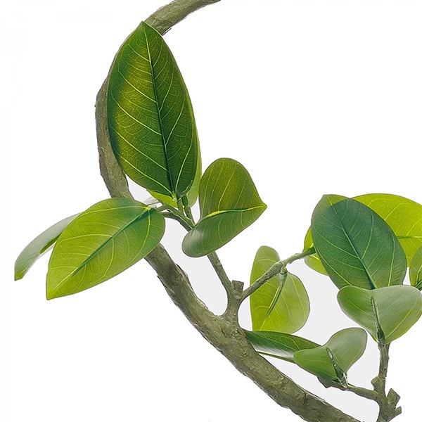 ե꡼ տʪ ͸տʪ ¤ 緿 ꡼ եƥ TPץ󥿡 H150cm ƥꥢ   PRGR-1190 GREENPARK ̵ 