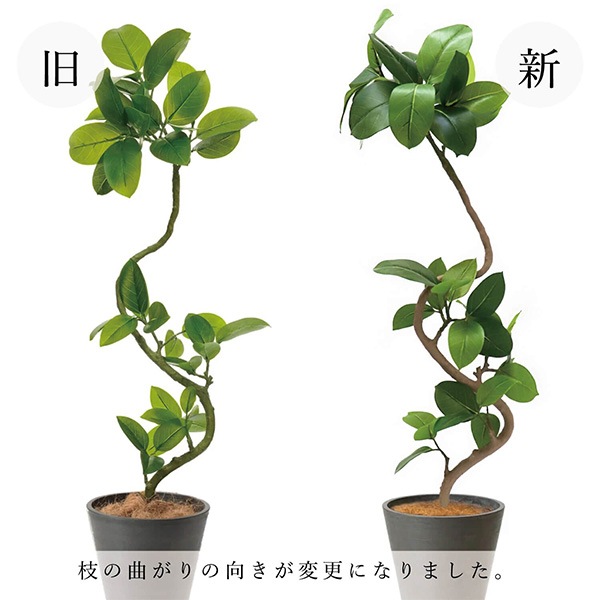 ե꡼ տʪ ͸տʪ ¤ 緿 ꡼ եƥ TPץ󥿡 H150cm ƥꥢ   PRGR-1190 GREENPARK ̵ 