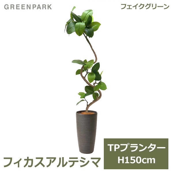 ե꡼ տʪ ͸տʪ ¤ 緿 ꡼ եƥ TPץ󥿡 H150cm ƥꥢ   PRGR-1190 GREENPARK ̵ 