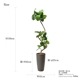 ե꡼ տʪ ͸տʪ ¤ 緿 ꡼ եƥ TPץ󥿡 H150cm ƥꥢ   PRGR-1190 GREENPARK ̵ 