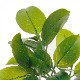 ե꡼ տʪ ͸տʪ ¤ 緿 ꡼ եƥ TPץ󥿡 H150cm ƥꥢ   PRGR-1190 GREENPARK ̵ 