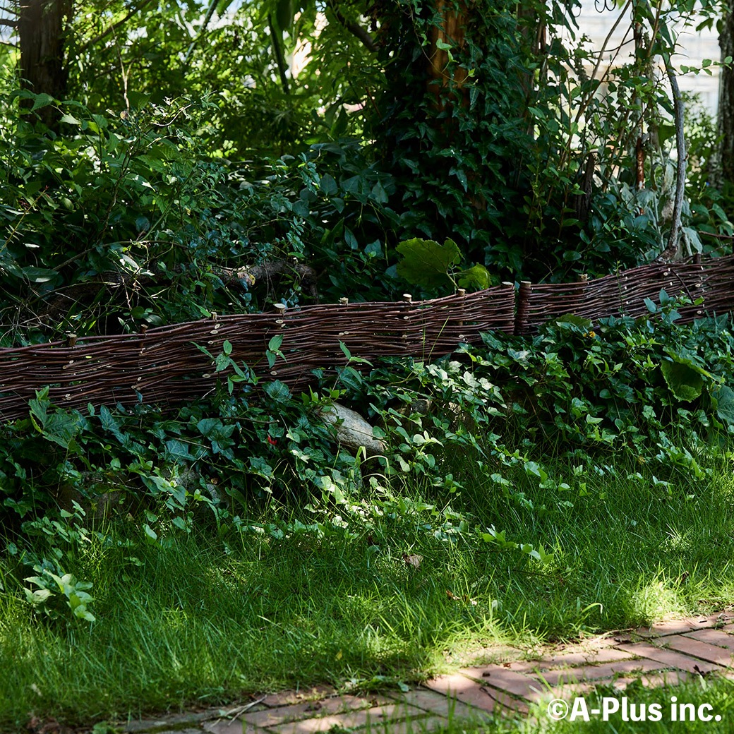 �ե��� DIY ���� ���� H20cm 120cm ���������� ��� �� ���󥰥�å��� �����ǥ� �ʥ����� ����ץ� ���� �� ŷ���Ǻ� �Ϥ� ���ڤ� ��� �� �����ǥ˥� ����̵�� 