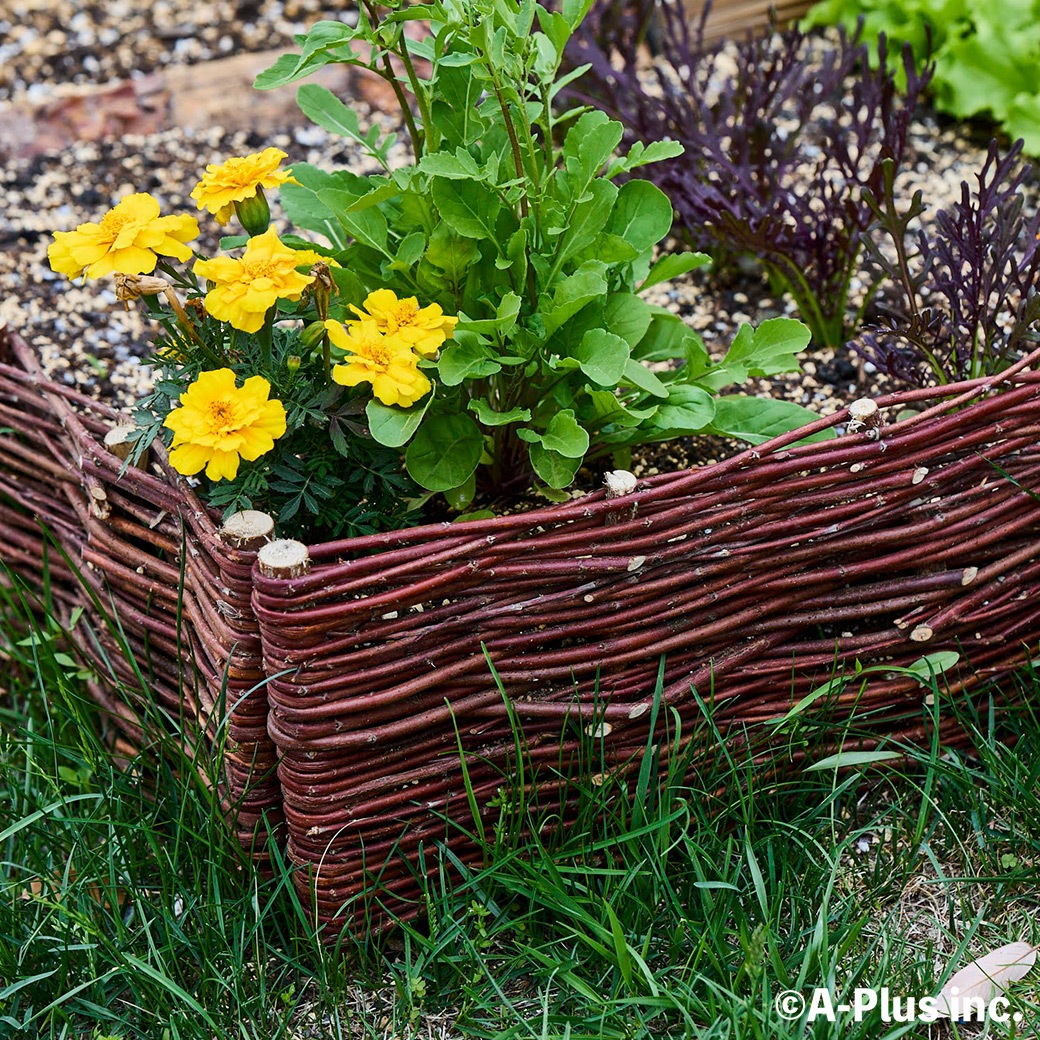 �ե��� DIY ���� ���� H20cm 120cm ���������� ��� �� ���󥰥�å��� �����ǥ� �ʥ����� ����ץ� ���� �� ŷ���Ǻ� �Ϥ� ���ڤ� ��� �� �����ǥ˥� ����̵�� 