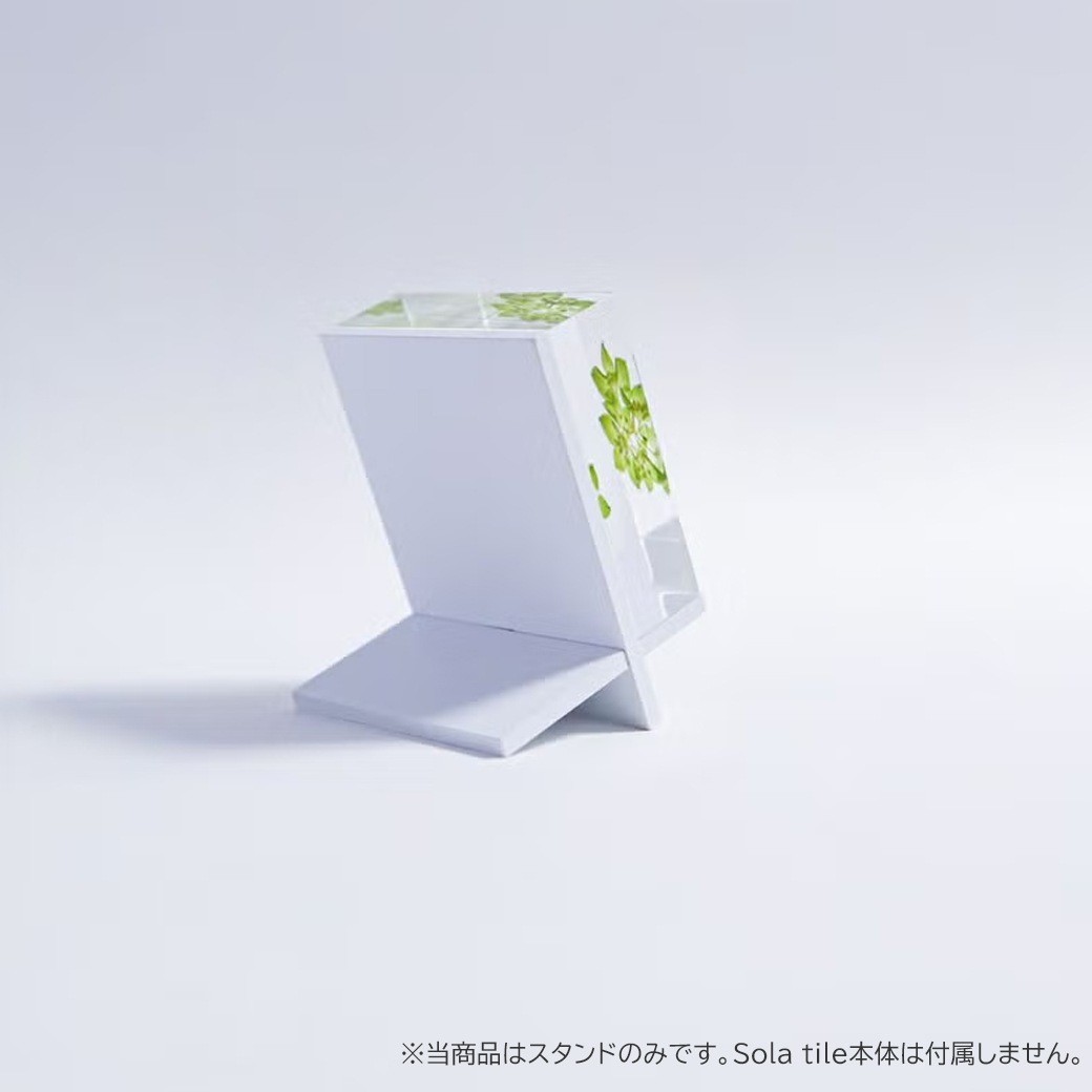 ���饿���� ������� Ω�� ɸ�� ���� ��� 5cm ����ƥꥢ ��ʪ �� ������ ������� ���֥��� ��ʪ ���ե� �ץ쥼��� Sola tile �襭�塼�� �������Υͥɥ� ��åԥ��б� 