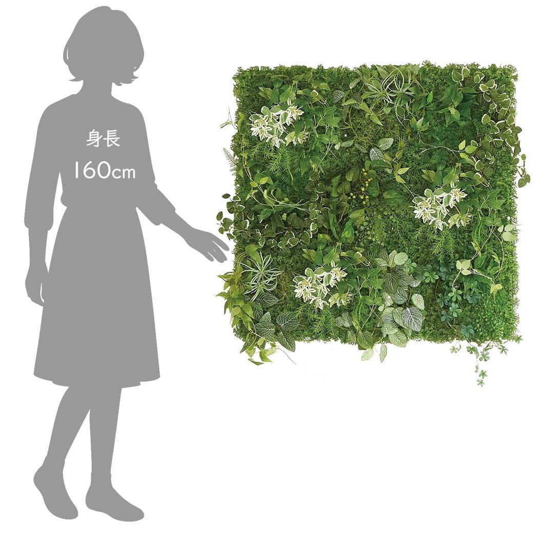 �ե��������꡼�� ���տ�ʪ �͹����տ�ʪ ¤�� �ɳݤ� ���꡼��ޥå� 9�祻�å� ������� ��ʪ �������륰�꡼�� ���� PRGR-1358 GREENPARK ���꡼��ѡ��� ����̵�� 