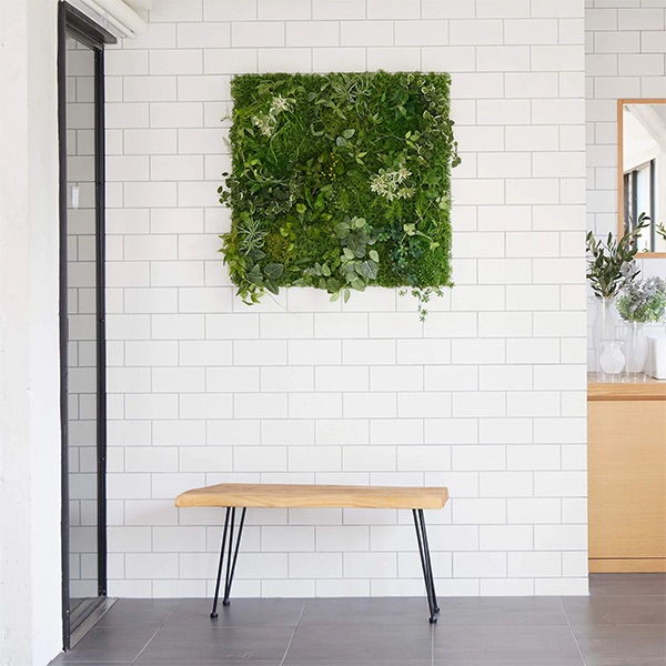 �ե��������꡼�� ���տ�ʪ �͹����տ�ʪ ¤�� �ɳݤ� ���꡼��ޥå� 9�祻�å� ������� ��ʪ �������륰�꡼�� ���� PRGR-1358 GREENPARK ���꡼��ѡ��� ����̵�� 