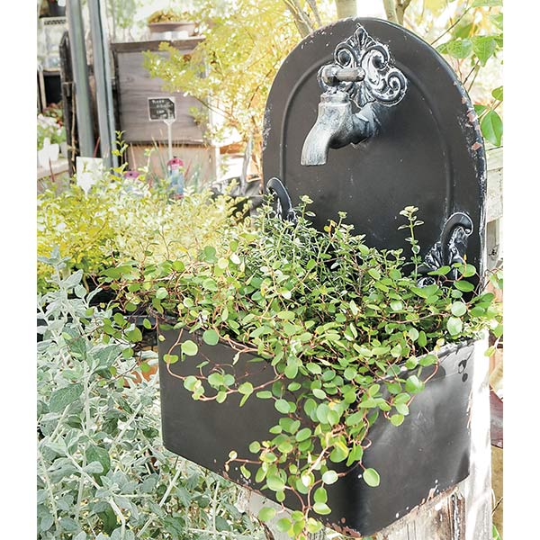 �ץ�󥿡� ������� �����ǥ˥� ���� ����ȭ ȭ ������� �ե������å� �ץ�󥿡� L������ �������� �ظ� �̲� ��ʪ���� �����ǥ󻨲� 7522 ¼�Ĳ����� ����̵�� 