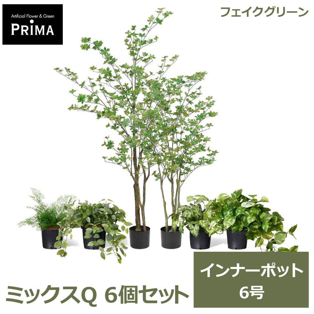 �ե��������꡼�� ���տ�ʪ �͹����տ�ʪ �ݥȥ� �ե��åȥ˥� ���饸���� �������󥿥� �ɥ�����ĥĥ� ����ʡ��ݥå� 6�ĥ��å� 6�� PRGR-1707P6 GREENPARK ����̵�� 