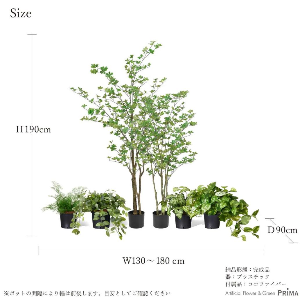 �ե��������꡼�� ���տ�ʪ �͹����տ�ʪ �ݥȥ� �ե��åȥ˥� ���饸���� �������󥿥� �ɥ�����ĥĥ� ����ʡ��ݥå� 6�ĥ��å� 6�� PRGR-1707P6 GREENPARK ����̵�� 