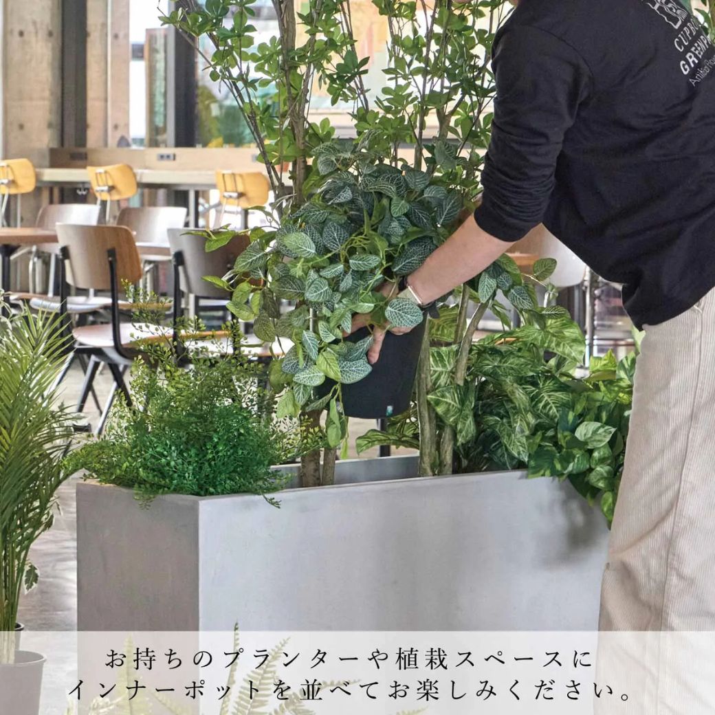 �ե��������꡼�� ���տ�ʪ �͹����տ�ʪ �ݥȥ� �ե��åȥ˥� ���饸���� �������󥿥� �ɥ�����ĥĥ� ����ʡ��ݥå� 6�ĥ��å� 6�� PRGR-1707P6 GREENPARK ����̵�� 
