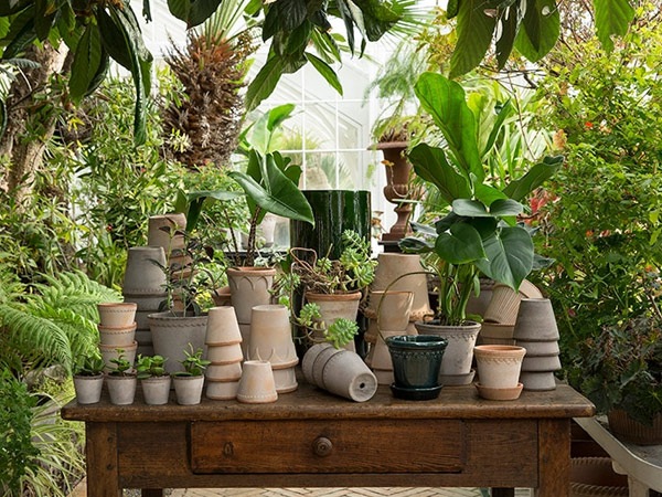 ����ȭ 4�� �ǾƤ� �ƥ饳�å� ������ ���å� ������� ���襤�� ��ꤢ�� �ݥå� ľ��12cm ����11cm ƫ�� ȭ���� �����ꥢ�� �С������ݥå��� ���ڥ�ϡ�����12 