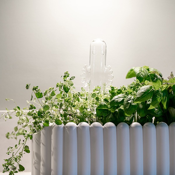 ���� �庹�� ���� ��ư ��ʪ �����ǥ˥� �˥���˥�� �ࡼ�ߥ� ���å� ƻ�� ���� ������ ȭ���� ���տ�ʪ �����ڱ� �ࡼ��� muurla Ʃ�� ���襤�� 