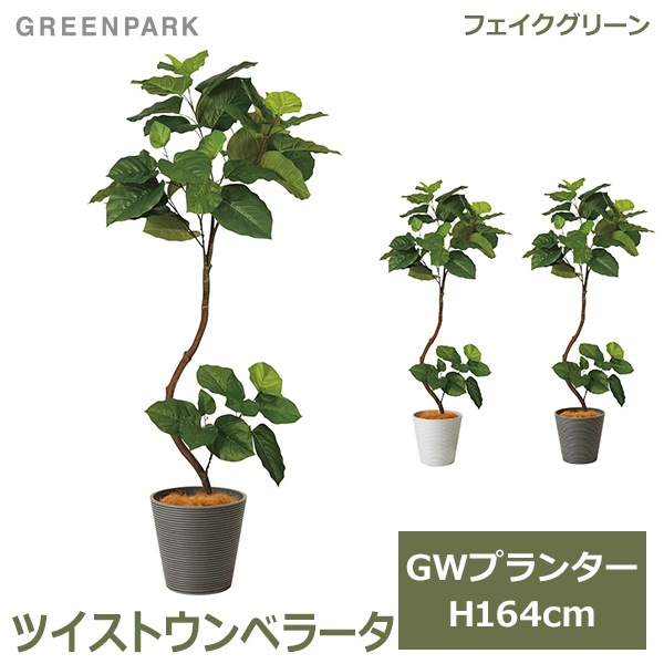 �ե��������꡼�� ���տ�ʪ �͹����տ�ʪ ¤�� �緿 �ĥ����ȥ���٥顼�� GW �ץ�󥿡� 164cm �ե����� ��ʪ ������� ȭ���å� ȭ�դ� PRGR-1268 GREENPARK 