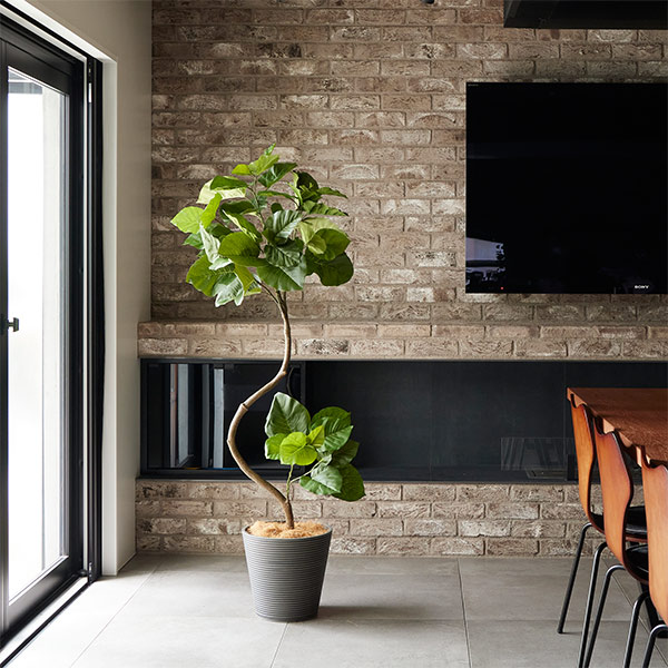 �ե��������꡼�� ���տ�ʪ �͹����տ�ʪ ¤�� �緿 �ĥ����ȥ���٥顼�� GW �ץ�󥿡� 164cm �ե����� ��ʪ ������� ȭ���å� ȭ�դ� PRGR-1268 GREENPARK 