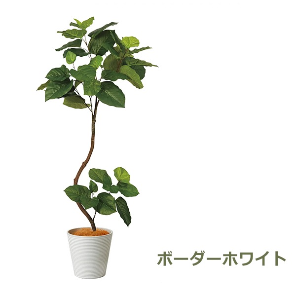 �ե��������꡼�� ���տ�ʪ �͹����տ�ʪ ¤�� �緿 �ĥ����ȥ���٥顼�� GW �ץ�󥿡� 164cm �ե����� ��ʪ ������� ȭ���å� ȭ�դ� PRGR-1268 GREENPARK 