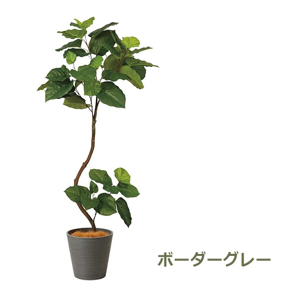 �ե��������꡼�� ���տ�ʪ �͹����տ�ʪ ¤�� �緿 �ĥ����ȥ���٥顼�� GW �ץ�󥿡� 164cm �ե����� ��ʪ ������� ȭ���å� ȭ�դ� PRGR-1268 GREENPARK 