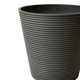 ե꡼ տʪ ͸տʪ ¤ 緿 쥫䥷 䥷 GW ץ󥿡 160cm ʪ  ȭդ ȭå ƥꥢ PRGR-1285 GREENPARK 