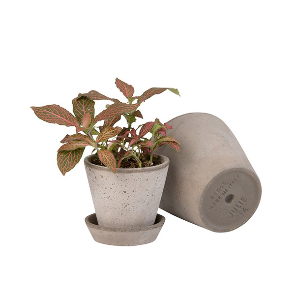 ����ȭ 3�� �ǾƤ� �ƥ饳�å� ������ ���å� ������� ���襤�� ��ꤢ�� �ݥå� ľ��10cm ����8cm �ݷ� ƫ�� ȭ���� �����ꥢ�� �С������ݥå��� ����꡼10 ����̵�� 