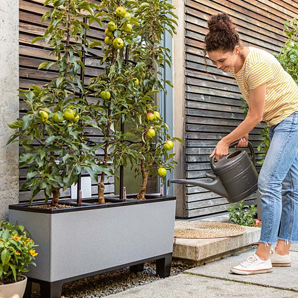 ����ȭ �ץ�󥿡� ������� �����ǥ˥󥰻��� ȭ �緿 ����塼�� �����Υߡ� �ȥꥪ�����ȡ���30 �Ѹ��� UV�ù� ���ʼ� ��ư ���� ����ץ� ����� LE-7630 ����̵�� 