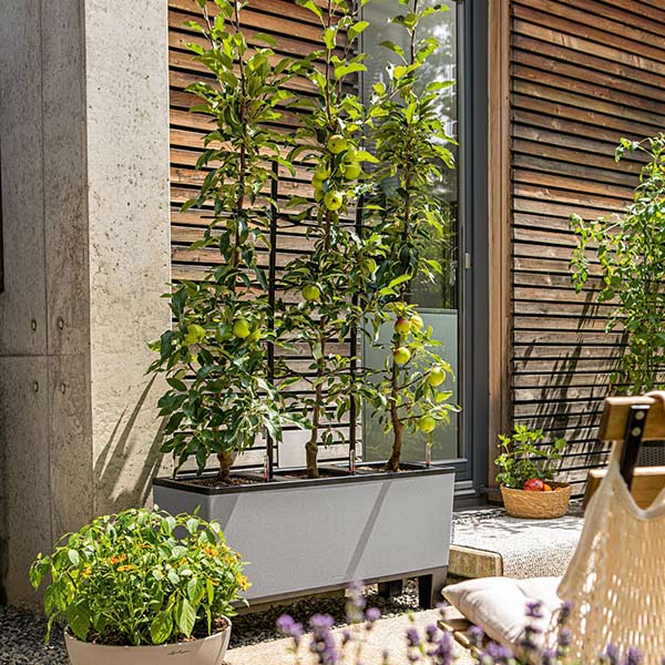 ����ȭ �ץ�󥿡� ������� �����ǥ˥󥰻��� ȭ �緿 ����塼�� �����Υߡ� �ȥꥪ�����ȡ���30 �Ѹ��� UV�ù� ���ʼ� ��ư ���� ����ץ� ����� LE-7630 ����̵�� 