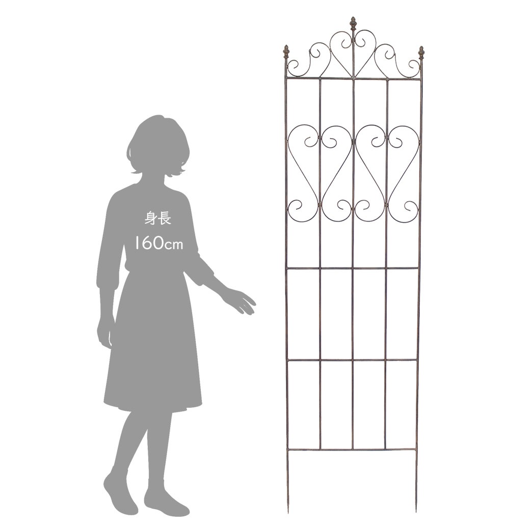 ꡼ե  ѻ ݻ ǥ ȥꥹ ե L ¼Ĳ 7122  ǥ˥   ֥饦 ⤵202cm  ̵ 