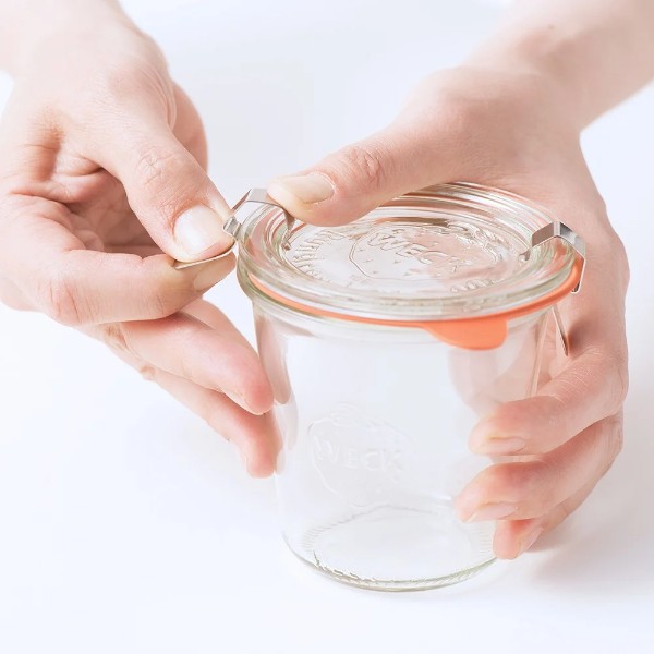 WECK å ƥ쥹å 12ĥå å α  ᡼б  WE 004 饹˥ ˥ ¸ ̩ 