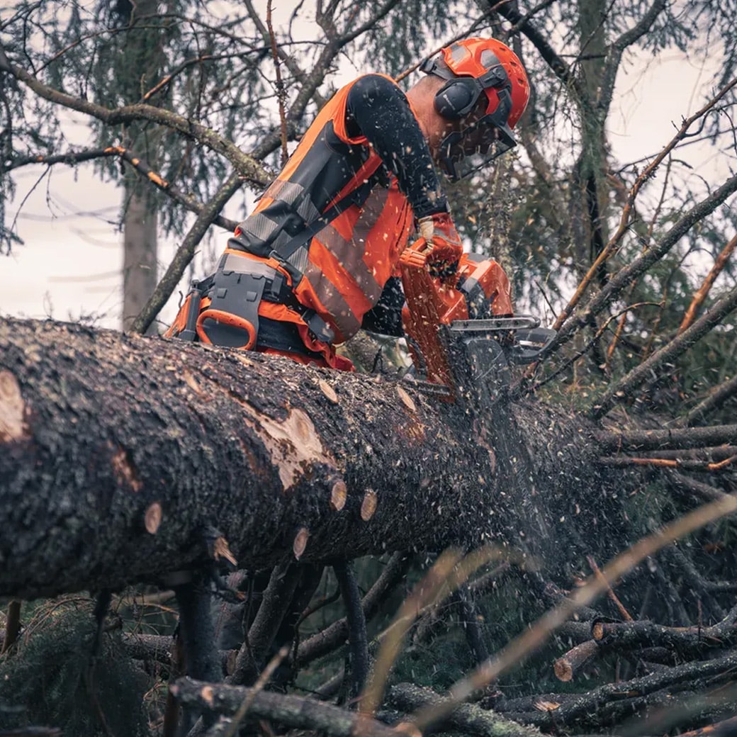 �ϥ����С��� �إ��å� �ⵡǽ ���� �ץ����� �Ӷ��� ���ǧ�Х����� ����ޥ� ����� Ȳ�� ���� Ƭ �� �� �ݸ� ��� ��ŷ �ե��쥹�� �ե��󥯥���ʥ� ����̵�� 