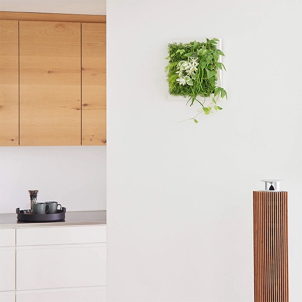 �ե��������꡼�� ���տ�ʪ �͹����տ�ʪ ¤�� ��� �ɳݤ� �ƥå��󥽥� �ϥĥ業���� ���꡼��ޥå� ������� ��ʪ PRGR-1313F ���꡼��ѡ��� GREENPARK ����̵�� 