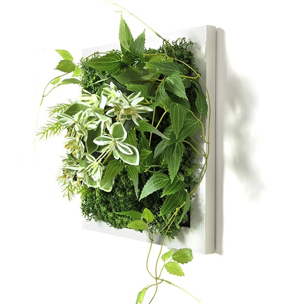 �ե��������꡼�� ���տ�ʪ �͹����տ�ʪ ¤�� ��� �ɳݤ� �ƥå��󥽥� �ϥĥ業���� ���꡼��ޥå� ������� ��ʪ PRGR-1313F ���꡼��ѡ��� GREENPARK ����̵�� 