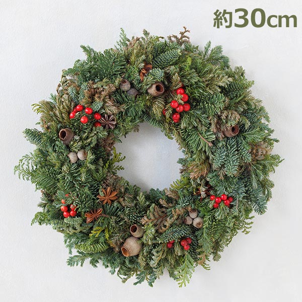 ���ꥹ�ޥ� �꡼�� 30cm ��ߤ��� ���꡼�� ������� �̲� ���� ���� �ʥ����� �ե�å��� ���� ���� ���� �������� �� ����ץ� �֤��� �ֻŻ�����ॺ ����̵�� 