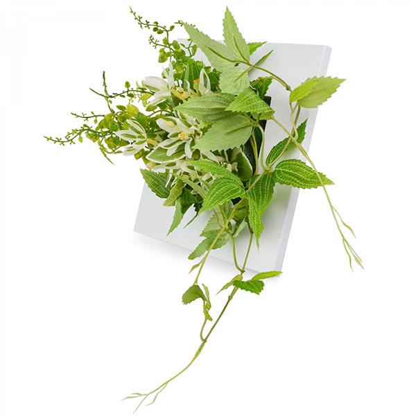 �ե��������꡼�� ���տ�ʪ �͹����տ�ʪ ¤�� ��� �ɳݤ� �ߥ� �ƥå��󥽥� �ܥ���ե����� ��������ǥ�S ����ƥꥢ ��ʪ ������� GREENPARK PRGR-1053 ����̵�� 