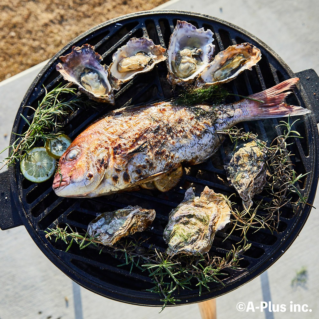 BBQ ����� ����� �� ���å� ���� 2��4���� �С��٥��塼 ���� �⤵Ĵ�� ����ѥ��� ��Ŵ ����ץ� ���� ������ �����ȥɥ� ���� ƻ�� prop �ץ��å� ����̵�� 