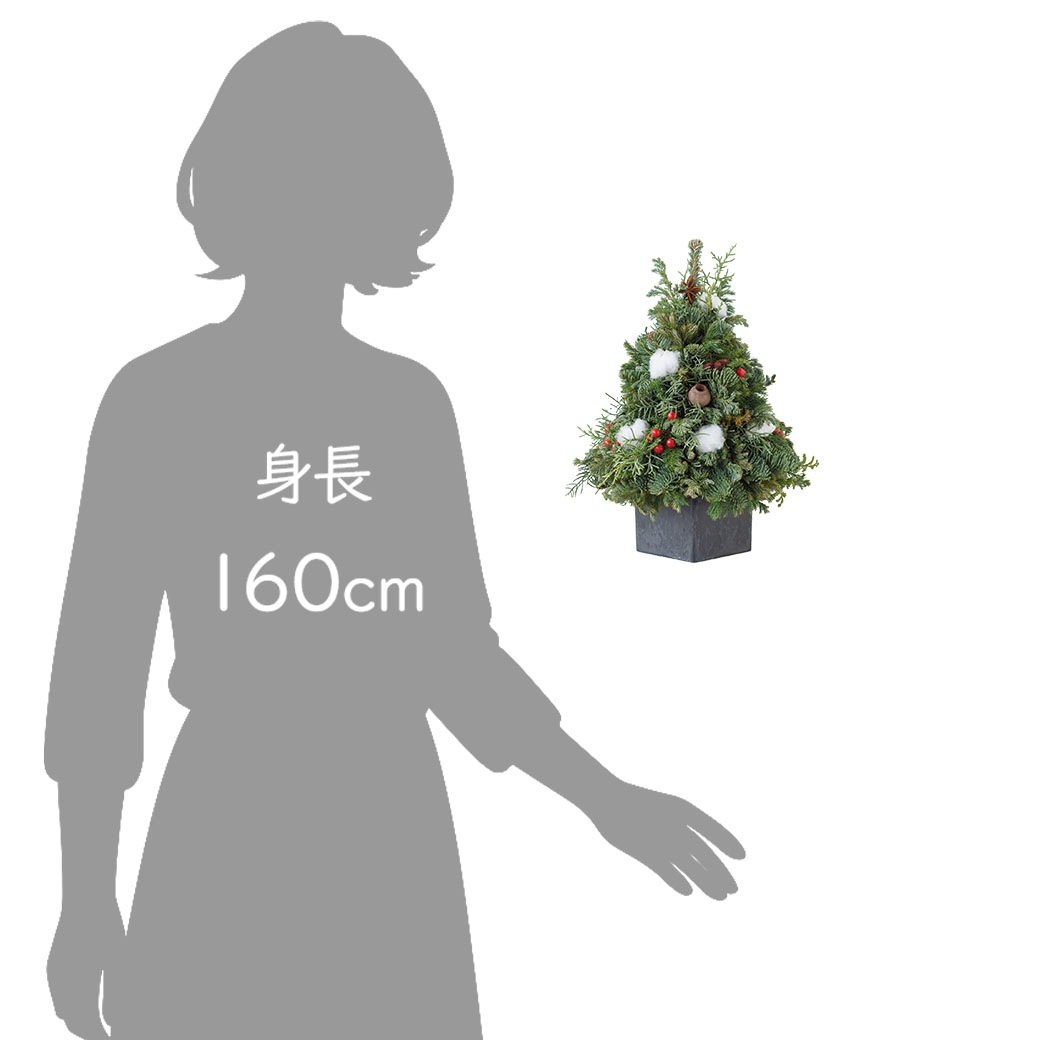 ꥹޥ ĥ꡼ 30cm  ߥ ĥ꡼  襤 ߤ ̲   ʪ      ˥ե ֻŻॺ ̵ 