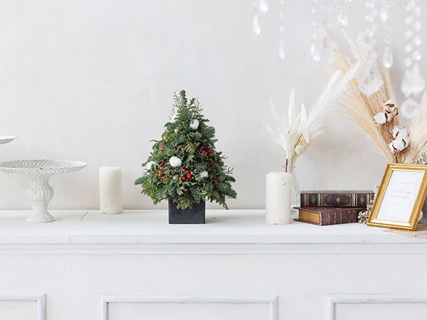 ꥹޥ ĥ꡼ 30cm  ߥ ĥ꡼  襤 ߤ ̲   ʪ      ˥ե ֻŻॺ ̵ 