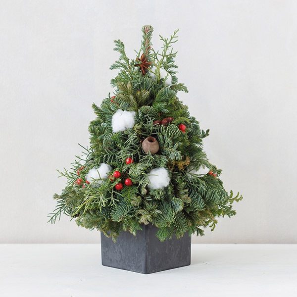 ꥹޥ ĥ꡼ 30cm  ߥ ĥ꡼  襤 ߤ ̲   ʪ      ˥ե ֻŻॺ ̵ 