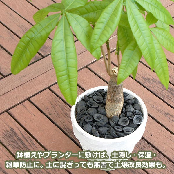 くるみ の 殻炭 500g 天然 素材 国産 岩手 クルミ のカラ インテリア ナチュラル おしゃれ こだわり 胡桃殻 マルチング ガーデニング Viewgarden