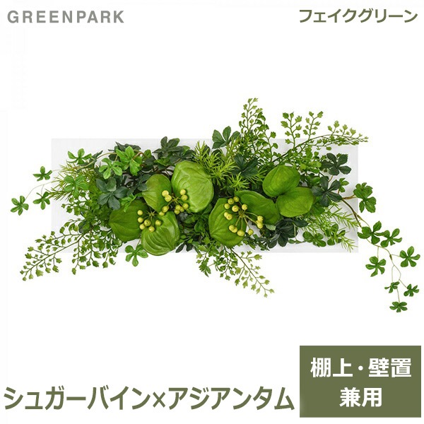 �ե��������꡼�� ���տ�ʪ �͹����տ�ʪ ¤�� ��� �ɳݤ� ���奬���Х��� �������󥿥� ��������ǥ�M ��������� ����ƥꥢ ������� GREENPARK PRGR-1054 ����̵�� 