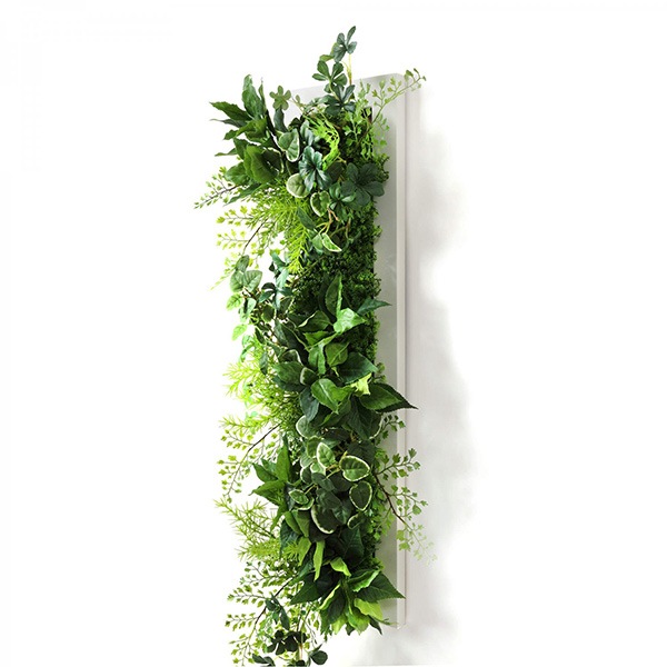 �ե��������꡼�� ���տ�ʪ �͹����տ�ʪ ¤�� ��� �ɳݤ� �緿 �ץߥ� ���奬���Х��� ���꡼�� ���� ������� ��ʪ ���꡼��ѡ��� PRGR-1309 GREENPARK ����̵�� 