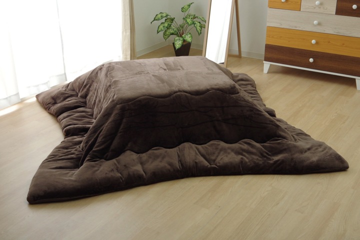 ���������� Ĺ���� ̵�� �ե��ͥ� ��С����֥� �ݤ�ñ�� 17�ե��IT �����ɽ� �١����� ��205��285cm ���ݥ����� ���������� ������ �ե�� �����ҥ� 1380000002868 ����̵�� 