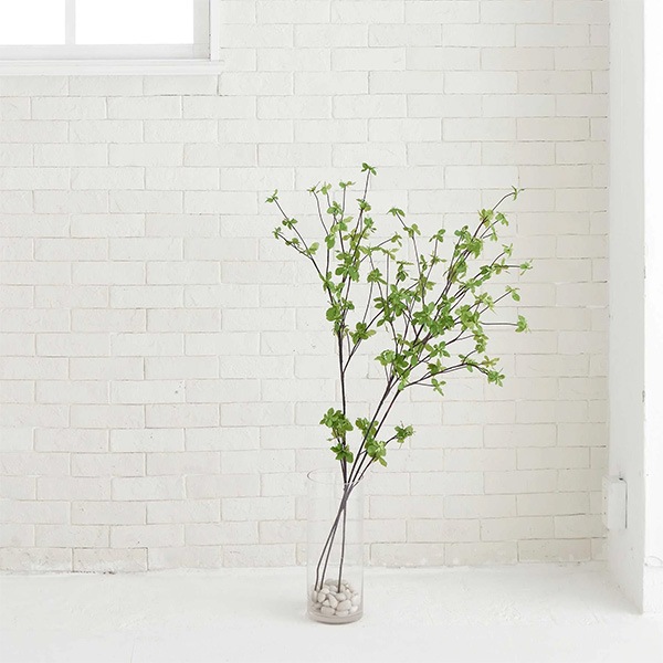 ե꡼ ɥĥĥ 饹 H100cm տʪ  ¤ ʪ ƥꥢ PRGR-0763 GREENPARK ꡼ѡ 