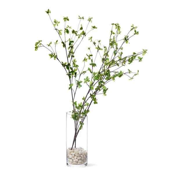ե꡼ ɥĥĥ 饹 H100cm տʪ  ¤ ʪ ƥꥢ PRGR-0763 GREENPARK ꡼ѡ 